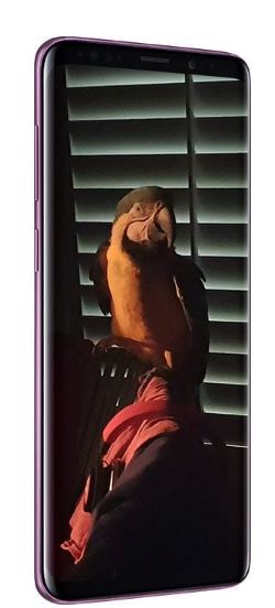 Review Samsung Galaxy S9, Spesifikasi & Harga Terbaru